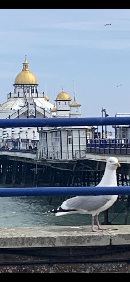 Gyves House Hotel Eastbourne Bagian luar foto